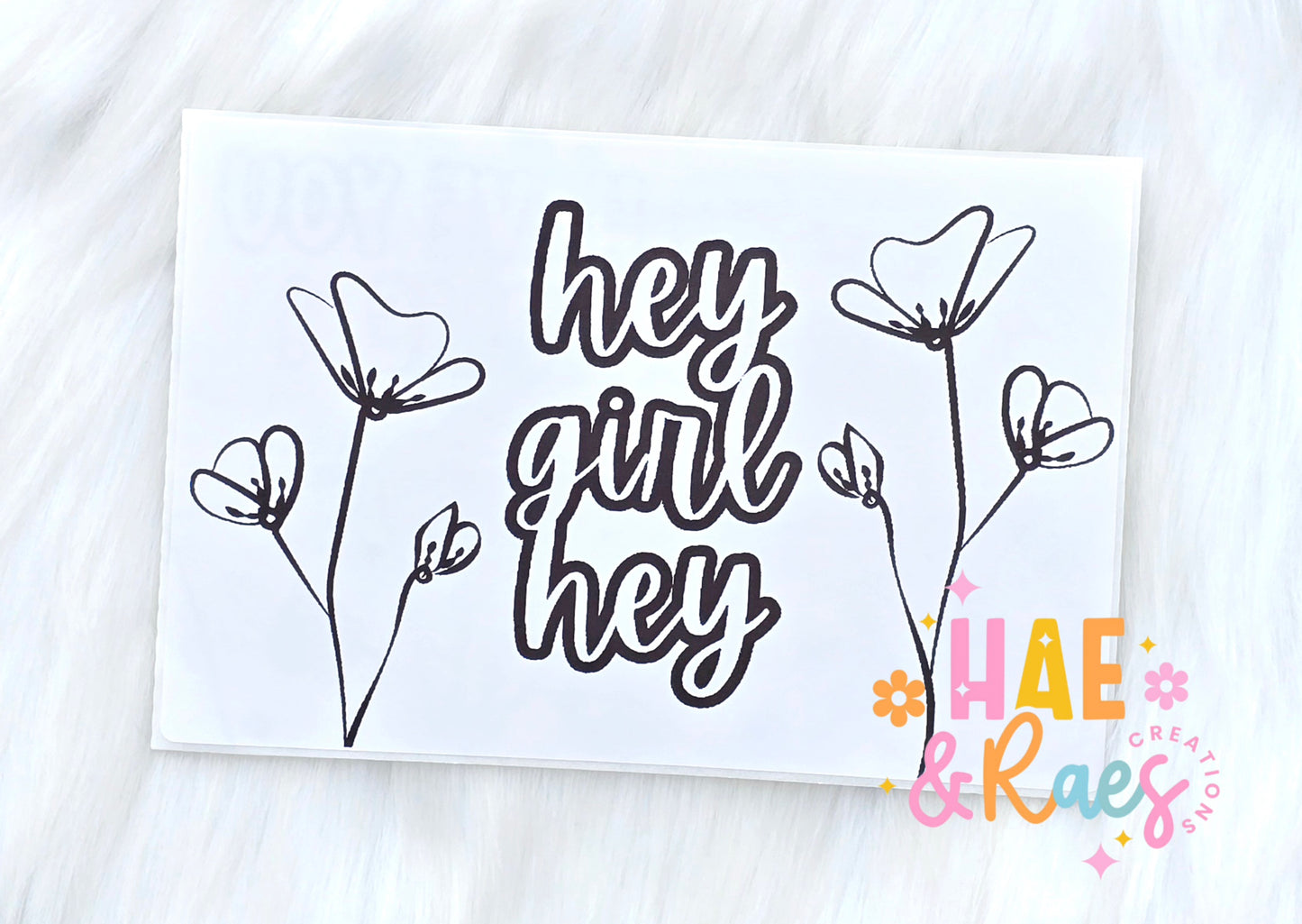 Hey Girl Hey 4x6 Package Stickers