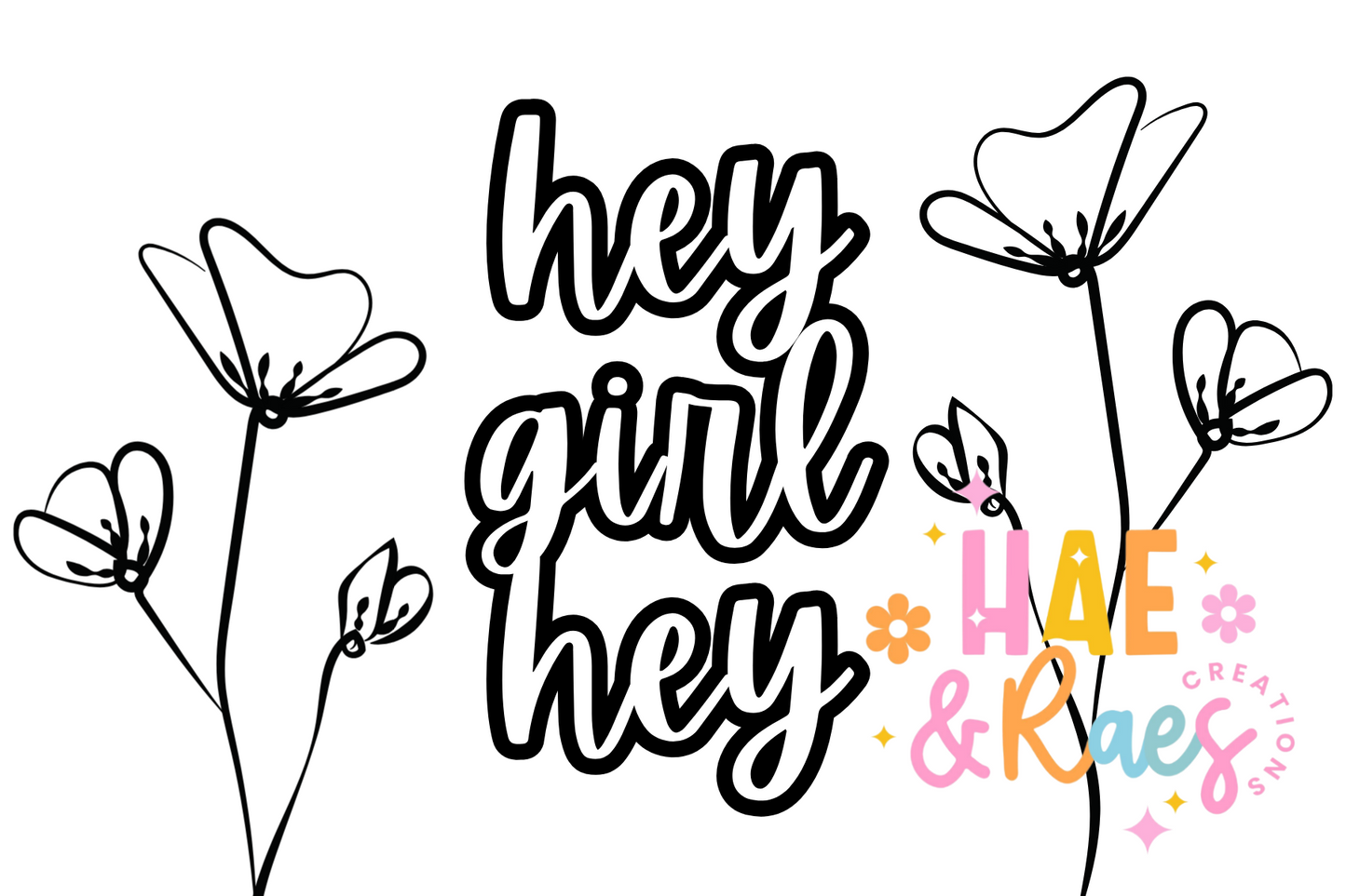 Hey Girl Hey 4x6 Package Stickers