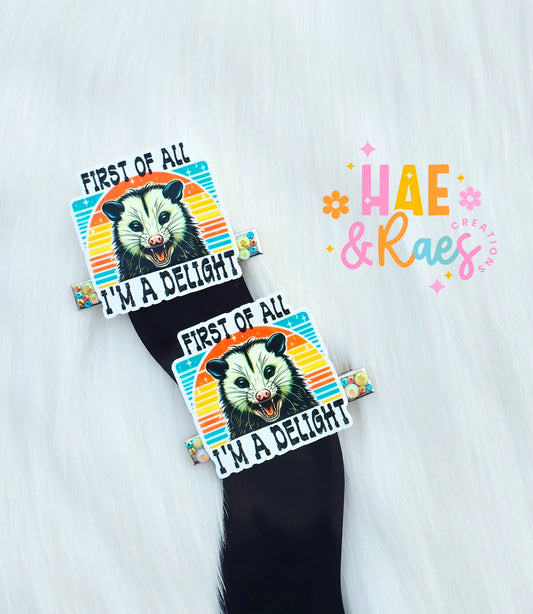 I'm a delight Hairclips