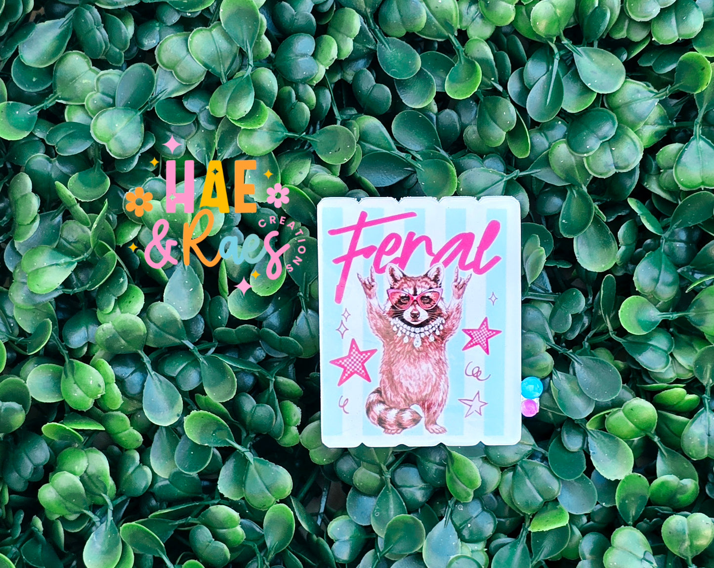Feral Phrase Hairclips
