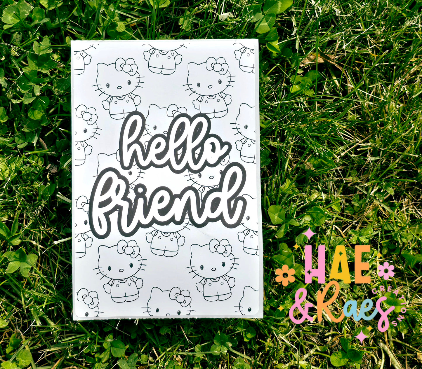 Hello Friend 4x6 Package Stickers